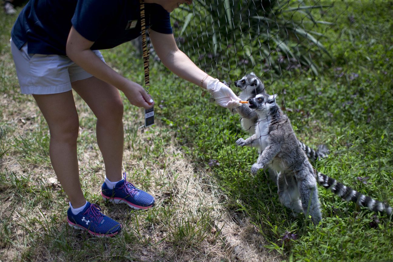 Greensboro Science Center introduces Inside Track: Zoo Trek program